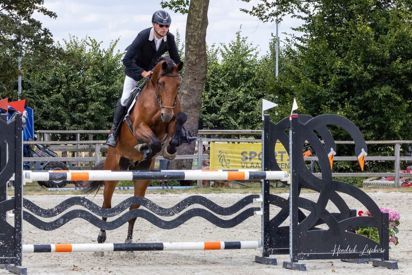 quizJump2022 quizJump2022